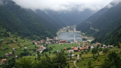 Karadeniz Yaylaları Rehberi: Rakım, Ulaşım ve Sezon